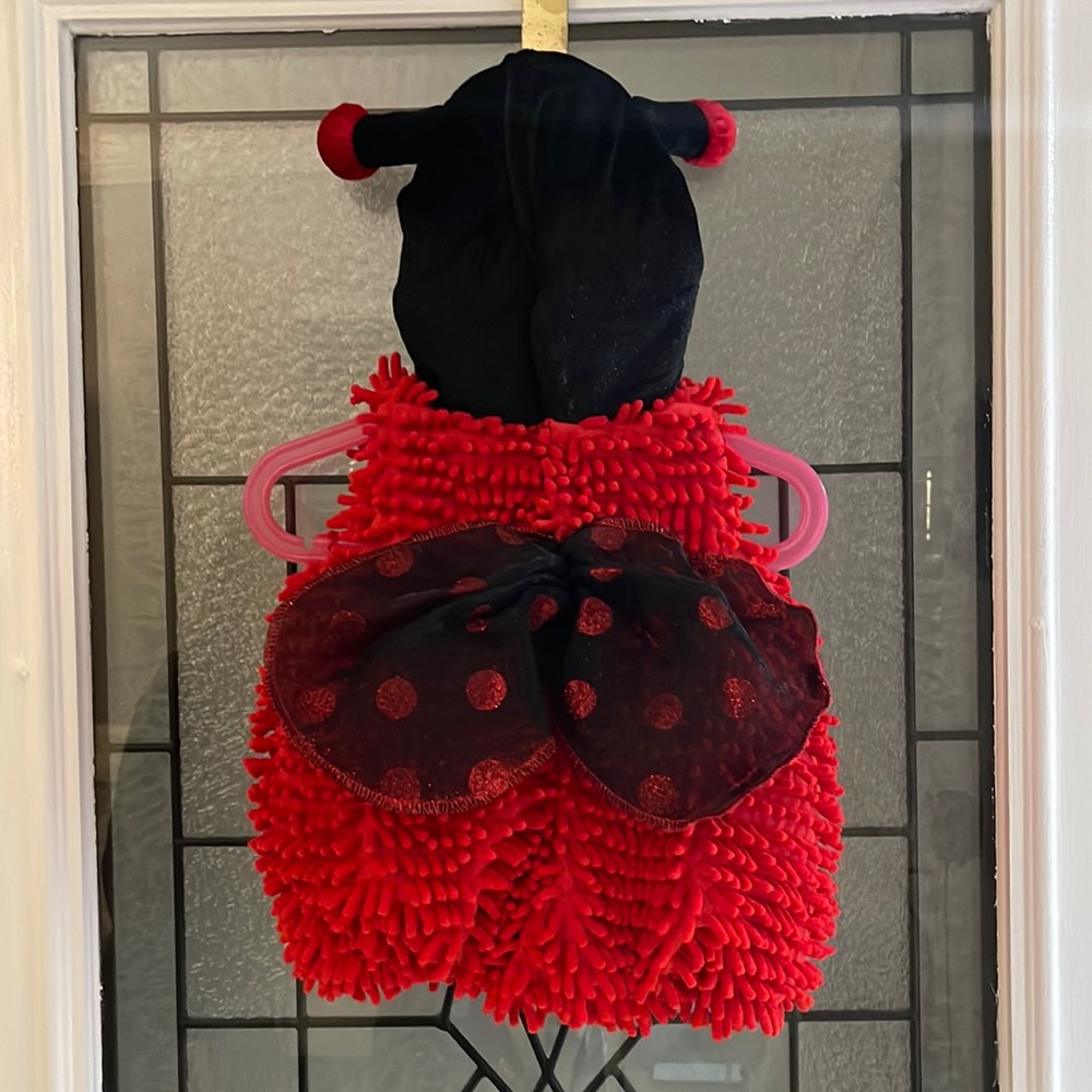 Brand New Ladybug Costume for Infants ages 6-9 months